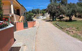 Alojamento Local - Casa Amarela